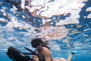 Zanzibar: tour in scooter marino all'isola di Mnemba o Pungume