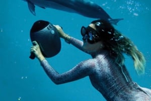 Zanzibar: tour in scooter marino all'isola di Mnemba o Pungume