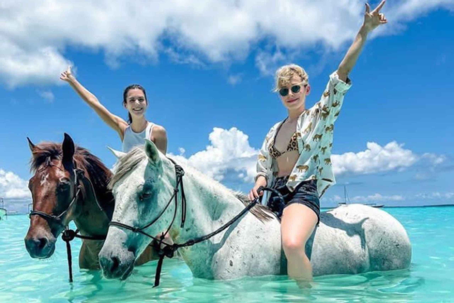 Zanzibar: Mnemba Snorkeling Dolphin & Horse Riding adventure