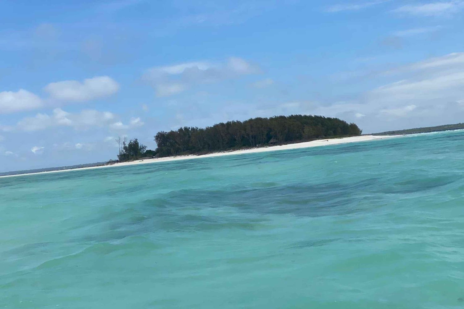 Zanzibar: Mnemba Snorkeling Dolphin & Horse Riding adventure