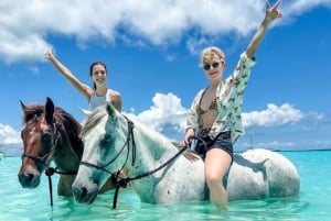 Zanzibar: Mnemba Snorkeling Dolphin & Horse Riding adventure