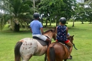 Zanzibar: Mnemba Snorkeling Dolphin & Horse Riding adventure