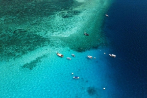Zanzibar : Plongée à Mnemba, Village Maasai et Plage de Nungwi