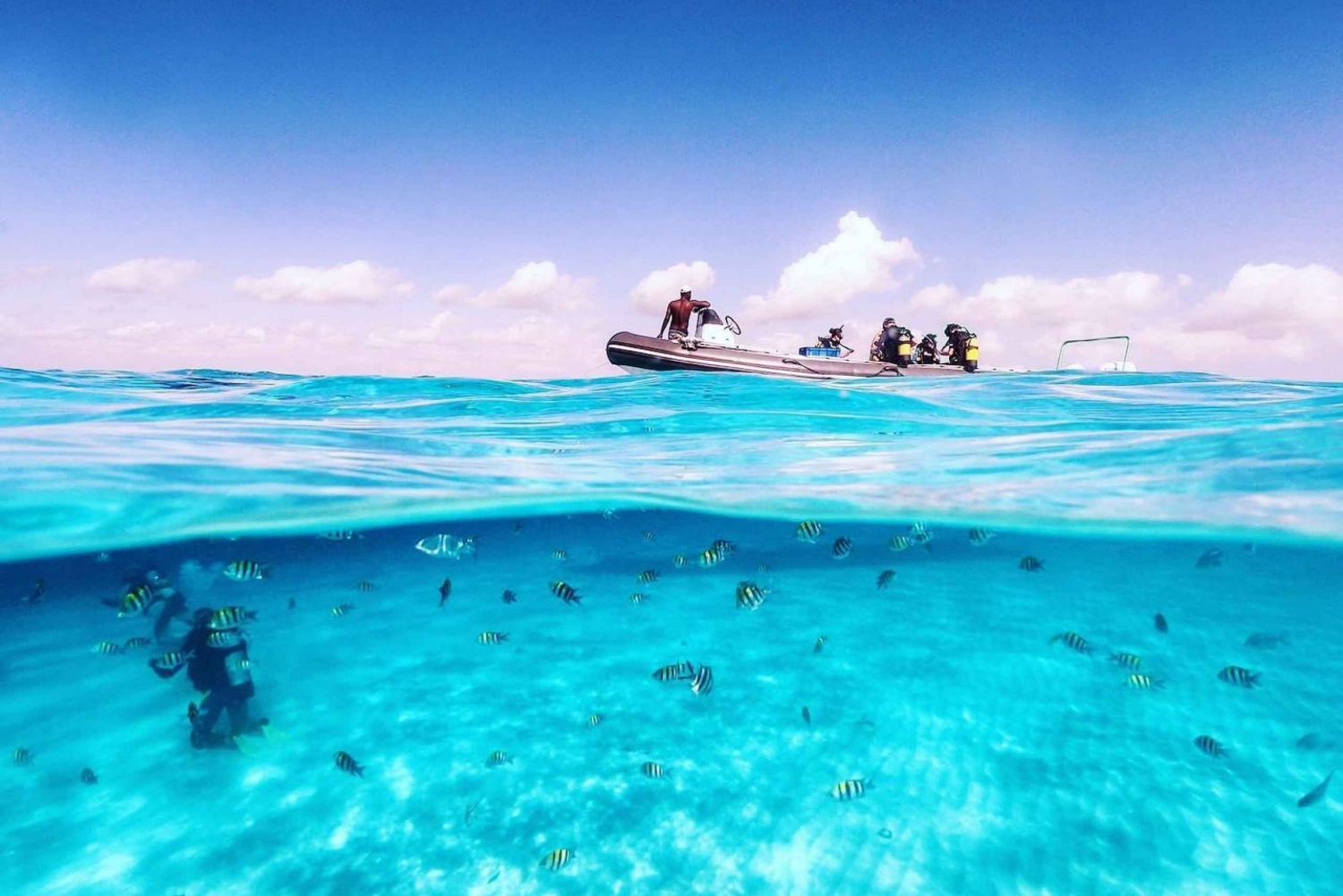 Zanzibar: Mnemba snorkling+svømning med skildpadder tur