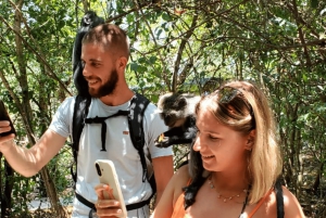 Zanzibar: guidet tur i apezoo