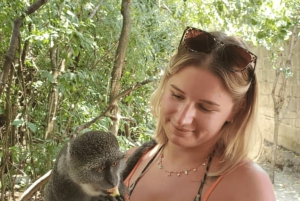 Zanzibar: guidet tur i apezoo