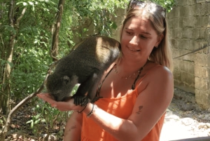 Zanzibar: guidet tur i apezoo