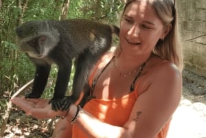 Zanzibar: guidet tur i apezoo