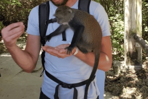 Zanzibar: guidet tur i apezoo