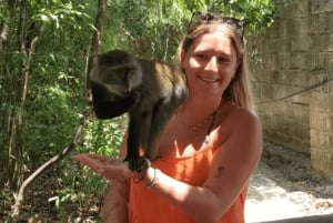 Zanzibar: guidet tur i apezoo