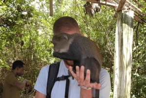 Zanzibar: guidet tur i apezoo