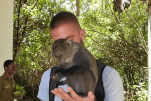 Zanzibar: guidet tur i apezoo