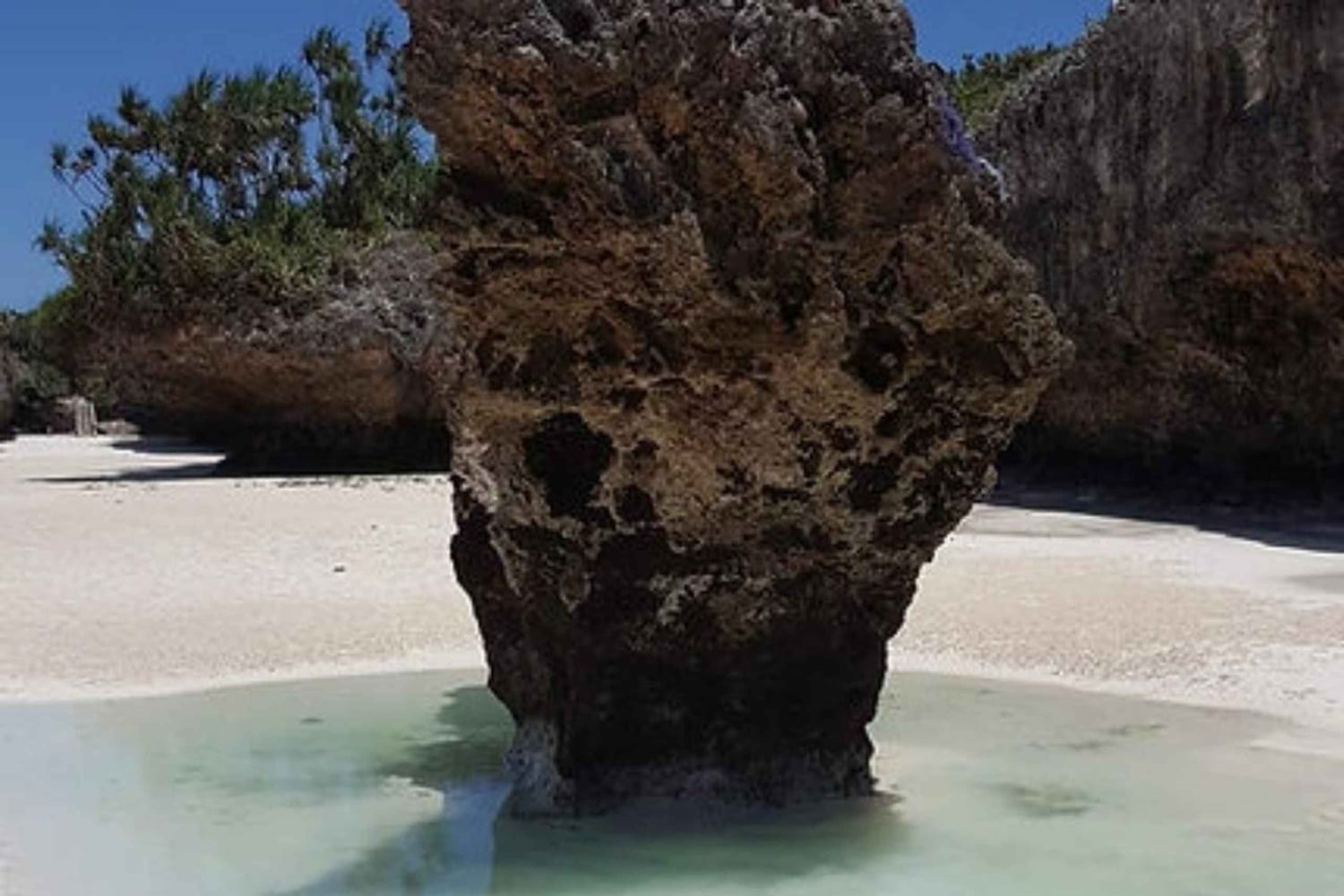 SANSIBAR: Schwimmen am Mtende-Strand, Jozani-Wald und Rock-Restaurant