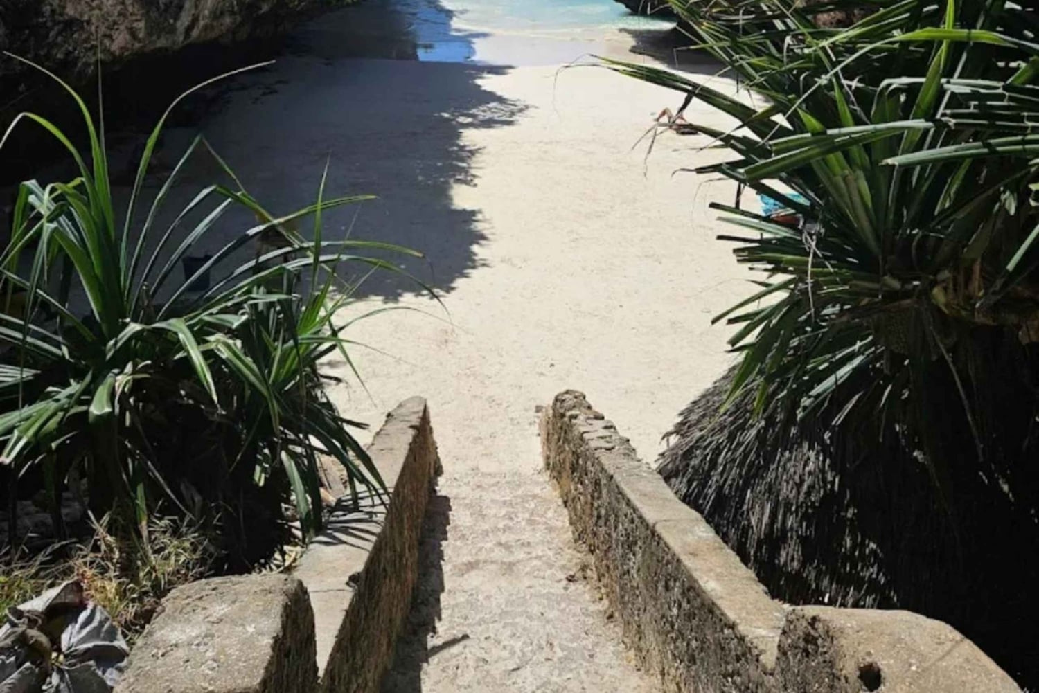 ザンジバル：ムテンデ・シークレットビーチ、クザ洞窟＆ジョザニ森林ツアー