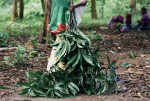 Zanzíbar: Excursión al Pueblo de Mtende y al Centro de Algas con Recogida