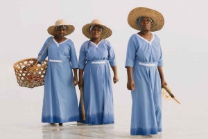 Zanzíbar: Excursión al Pueblo de Mtende y al Centro de Algas con Recogida