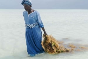 Zanzíbar: Excursión al Pueblo de Mtende y al Centro de Algas con Recogida