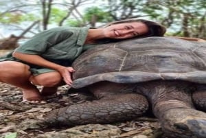 Zanzibar: Stone Town, krydderifarm og fængselsø-eventyr