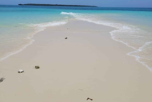 ザンジバル ナクペンダ サンバンク ビーチ バーベキューランチ付き