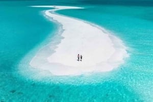Zanzibar: Nakupenda zandbank met lunch en Jozani-bos.