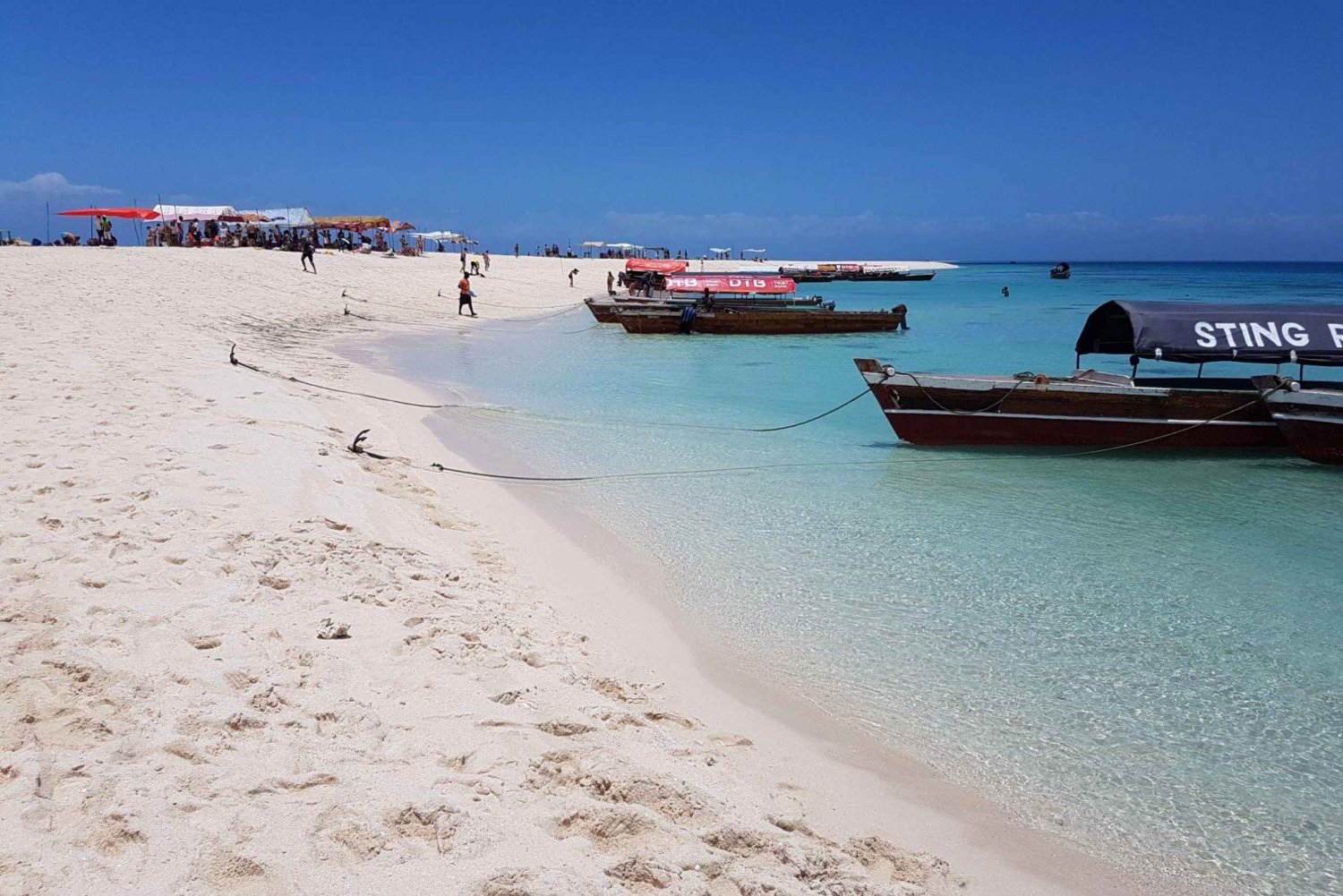 Zanzibar: Nakupenda Sandbank og omvisning og lunsj på Prison Island