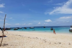 Zanzibar: Nakupenda Sandbank og omvisning og lunsj på Prison Island