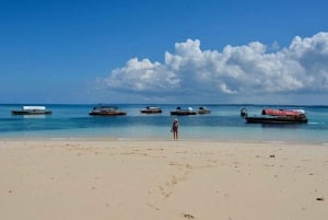 Zanzibar: Nakupenda Sandbank og omvisning og lunsj på Prison Island
