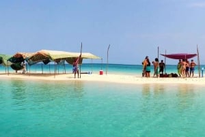 Zanzibar: Nakupenda Sandbank og omvisning og lunsj på Prison Island