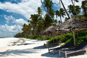 Zanzibar: Nakupenda Sandbank og omvisning og lunsj på Prison Island