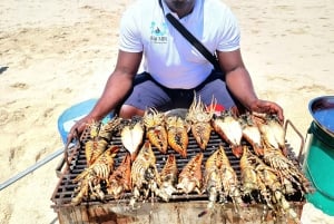 Sansibar: Nakupenda Sandbank & Prison Island -retki lounaalla