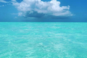 ZANZIBAR NAKUPENDA SANDBANK BEACH