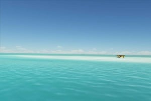 Zanzibar : excursion d'une journée au banc de sable Nakupenda avec barbecue de fruits de mer