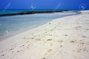 Zanzibar : excursion d'une journée au banc de sable Nakupenda avec barbecue de fruits de mer