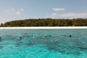 Zanzibar: gita di 1 giorno al banco di sabbia di Nakupenda con BBQ di pesce