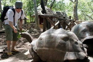 Zanzibar: Nakupenda Sandbank, Ilha da Prisão e Tour de Especiarias