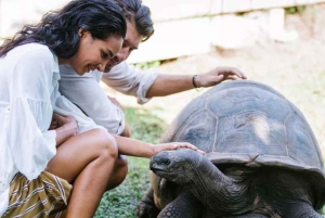 ザンジバル：ナクペンダサンドバンク、プリズン島、ストーンタウンをご案内します。