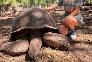 Sansibar: Ausflug zur Nakupenda-Sandbank und Prison Island mit Mittagessen