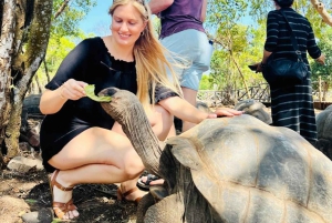 Sansibar: Ausflug zur Nakupenda-Sandbank und Prison Island mit Mittagessen