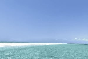 Sansibar: Nakupenda Sandbank private Tour mit Mittagessen