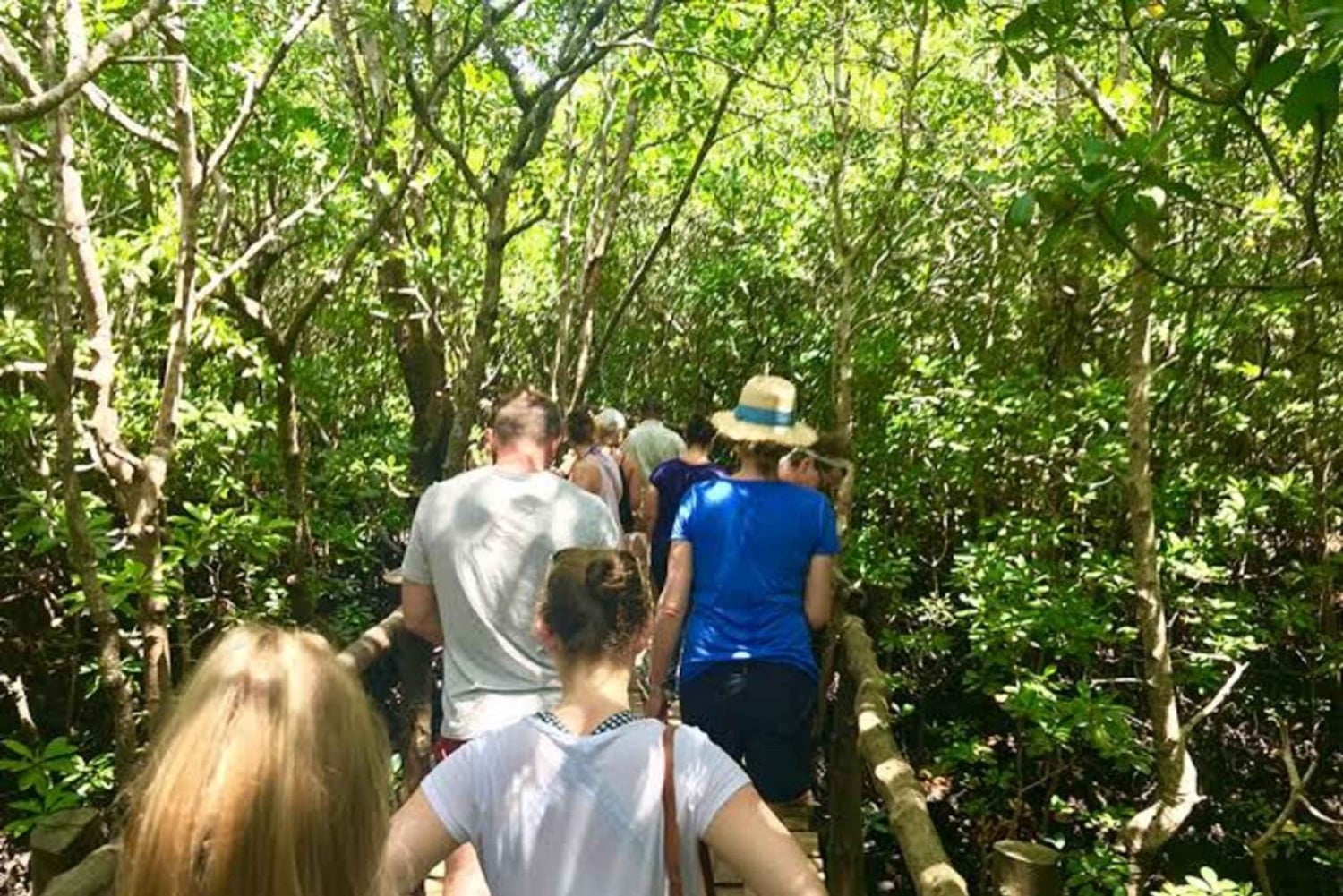 Zanzibar Nature Combo: Salaam Cave Swim & Jozani Forest Tour