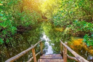 Combo Natureza de Zanzibar: Natação na Caverna Salaam e Excursão à Floresta Jozani