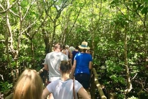 Zanzibar Nature Combo: Salaam Cave Swim & Jozani Forest Tour