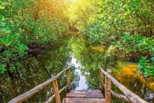 Zanzibar Nature Combo: Salaam Cave Swim & Jozani Forest Tour