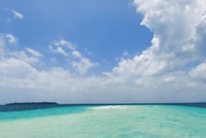 ザンジバル：ニャンベ島ツアー（ランチ付き）をご覧ください