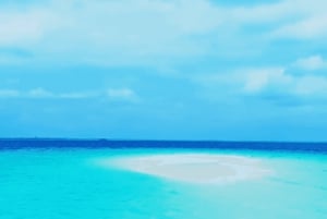 ザンジバル：ニャンベ島ツアー（ランチ付き）をご覧ください