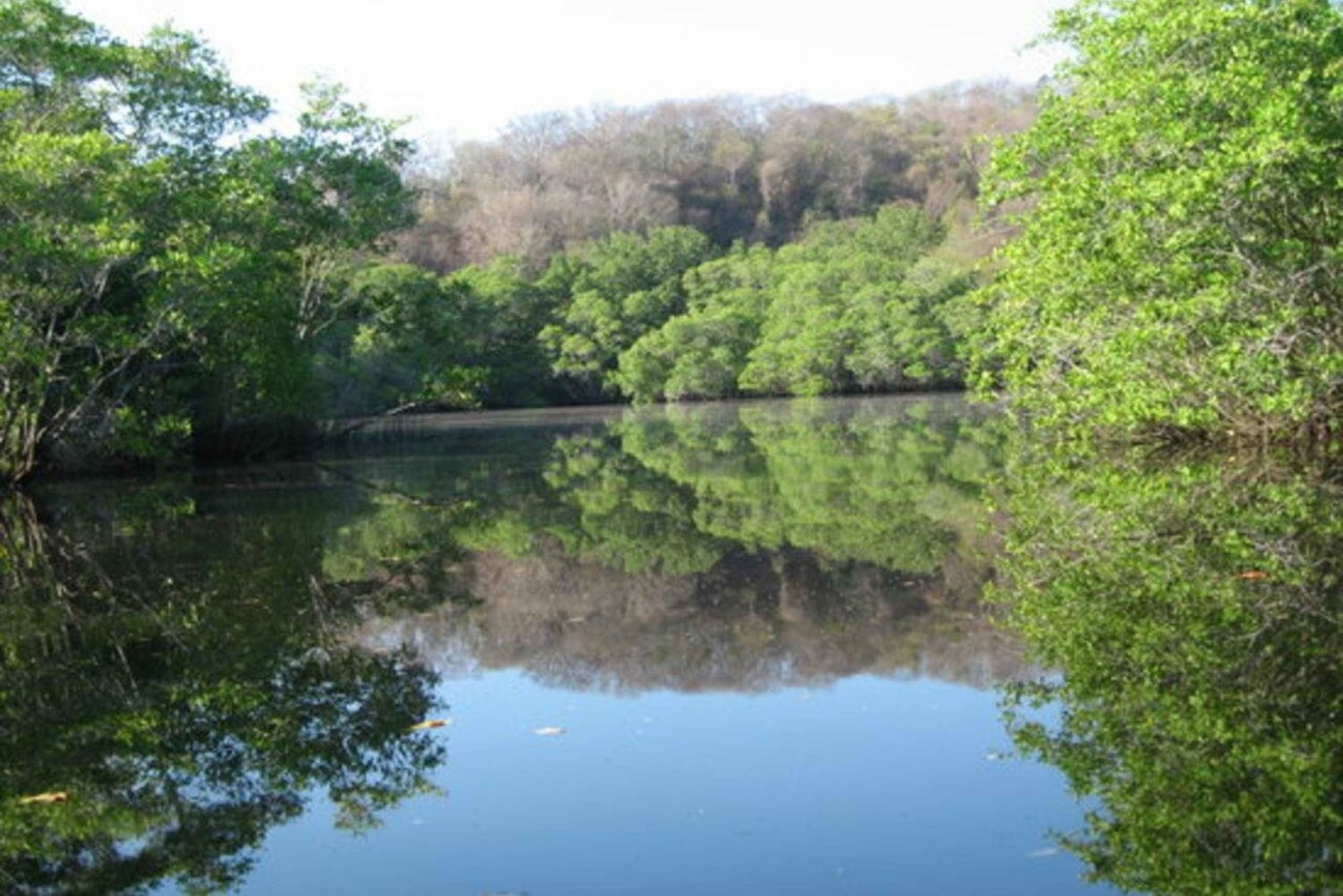 Zanzibar: nocna kąpiel ze świecącym planktonem