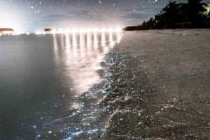 Zanzibar: nocna kąpiel ze świecącym planktonem