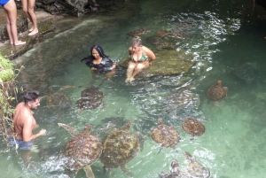 Zanzibar: North Coast and Turtle Sanctuary Tour