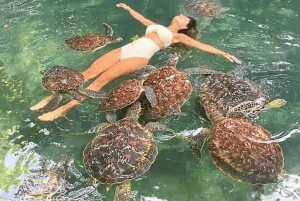 Zanzibar : Aquarium de Nungwi avec coucher de soleil sur l'île du Nord
