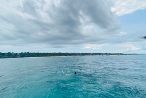 Zanzibar : expérience de marche sous-marine à la plage de Nungwi avec guide